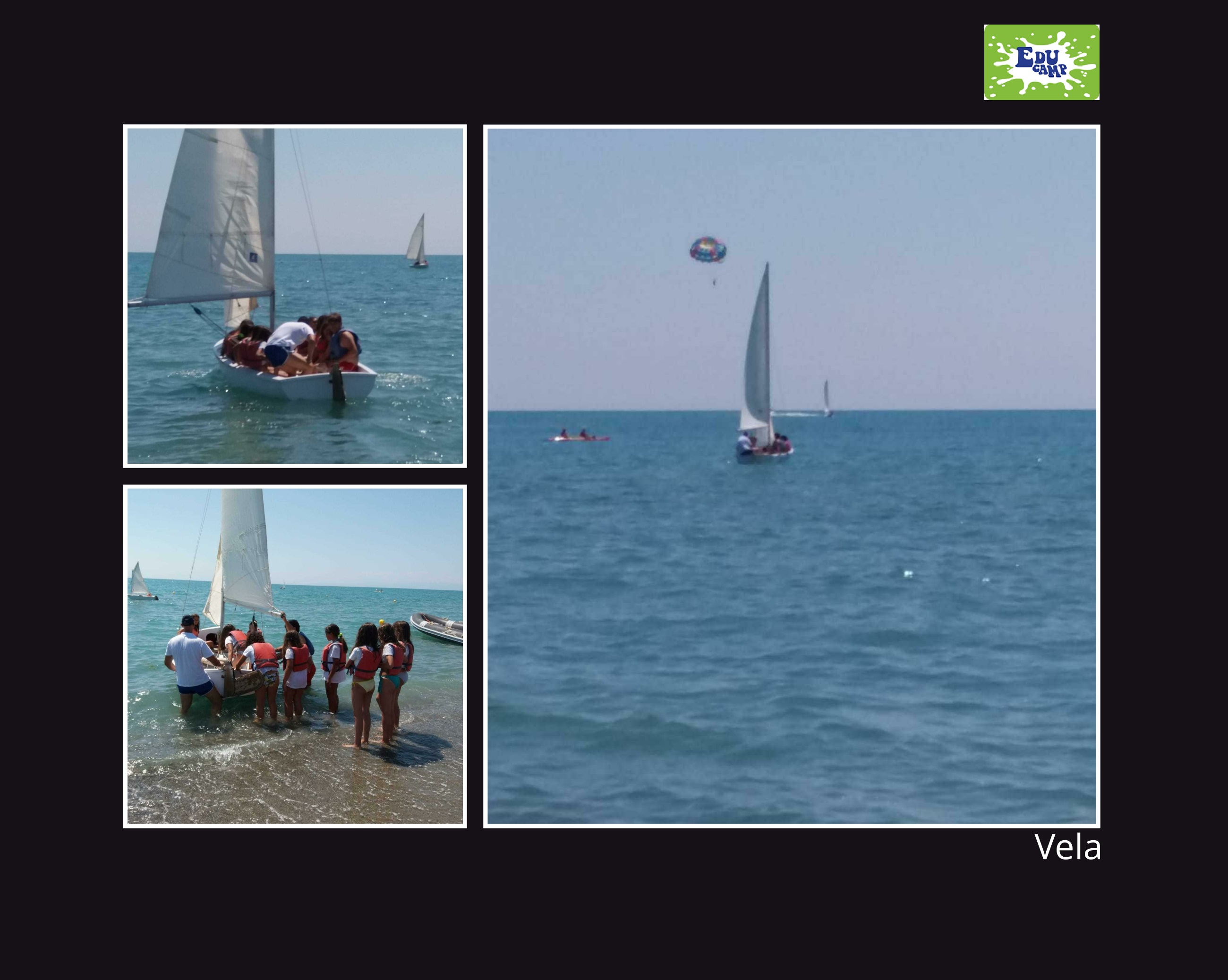Vela